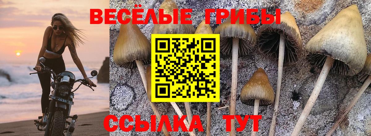 Галлюциногенные грибы MAGIC MUSHROOMS  Вход с VPN  Конаково 