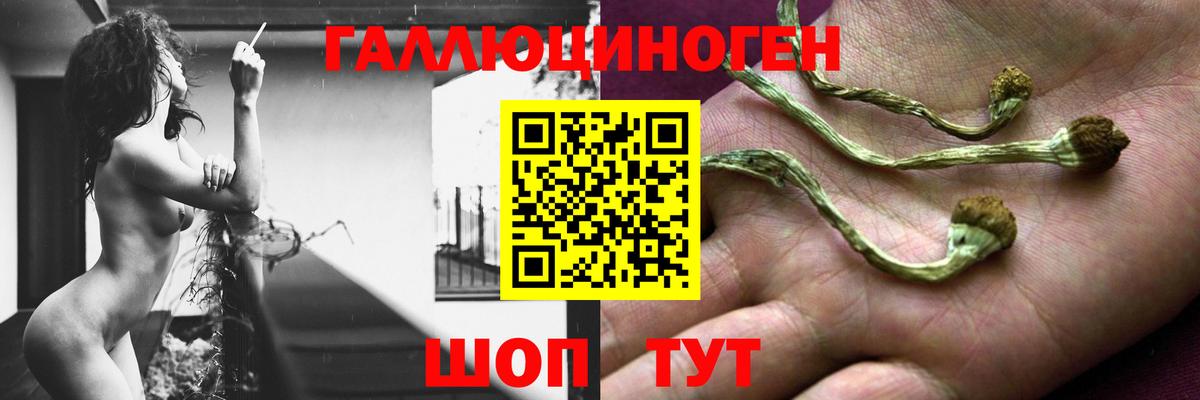 Псилоцибиновые грибы Magic Shrooms Конаково